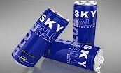 SKY FALL ENERJİ 